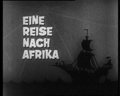 Dr. Doolittle – Eine Reise nach Afrika 1