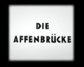 Dr. Doolittle – Die Affenbrücke 1