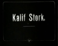 Kalif Storch 1