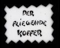 Der fliegende Koffer 1